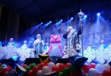 В Калуге открыли главную новогоднюю ёлку (фото)
