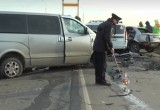 Водитель предстанет перед судом за смертельную автокатастрофу