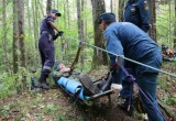 Спасатели провели тренировку по поиску пропавших в лесу