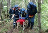 Спасатели провели тренировку по поиску пропавших в лесу