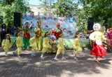 В Калуге прошел парад колясок и велосипедов