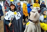 Мышиный карнавал прошёл в Калуге (фото)