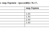 В новогоднюю ночь проезд в городском транспорте будет бесплатным