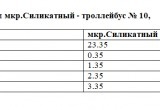 В новогоднюю ночь проезд в городском транспорте будет бесплатным