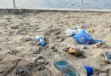 Набережную Яченского водохранилища пообещали убирать чаще