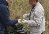 Березуйский овраг в Калуге очистили от мусора