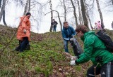 На Терепце прошел большой субботник