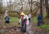 На Терепце прошел большой субботник