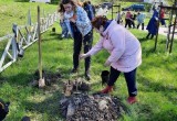 В микрорайоне Кубяка прошла акция "Сад памяти"