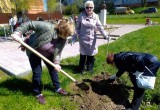 В микрорайоне Кубяка прошла акция "Сад памяти"