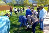 В микрорайоне Кубяка прошла акция "Сад памяти"