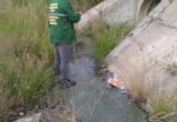 ЧП в Куровском: слив опасных отходов в реку продолжается (видео)