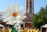 В Калуге 8 июля чествовали юбиляров семейной жизни