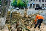 В Калуге на Театральной спилили деревья