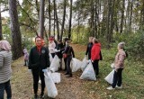 Масштабная уборка в Калужском бору прошла в формате экоквеста