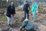 Более пяти тысяч молодых дубков высадили в калужском нацпарке