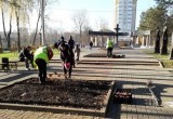 В калужских скверах и парках высадили тюльпаны к весне