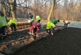 В калужских скверах и парках высадили тюльпаны к весне