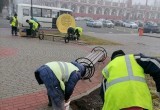 В калужских скверах и парках высадили тюльпаны к весне