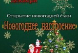 Появилась афиша новогодних ёлок в микрорайонах и пригороде Калуги