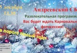 Появилась афиша новогодних ёлок в микрорайонах и пригороде Калуги