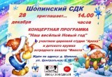 Появилась афиша новогодних ёлок в микрорайонах и пригороде Калуги