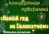 Появилась афиша новогодних ёлок в микрорайонах и пригороде Калуги