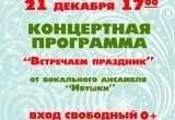 Появилась афиша новогодних ёлок в микрорайонах и пригороде Калуги