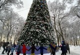 Новогодние гулянья в Калуге посетили около ста тысяч гостей 
