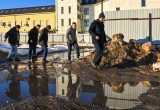 Новое здание для ТЮЗа сможет вместить почти вдвое больше зрителей 