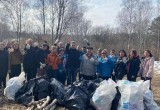 Активисты вместе с Хохулей собрали мусор в парке усадьбы Яновских и Можайском овраге