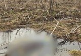 В Калужской области обнаружили тело пропавшей в прошлом году женщины