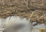 В Калужской области обнаружили тело пропавшей в прошлом году женщины