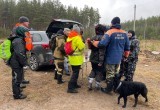 В калужском лесу собака Лана вывела поисковиков к "потеряшке"  