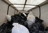 Из Комсомольской рощи волонтёры вывезли сто мешков с мусором