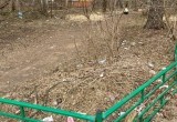 Из Комсомольской рощи волонтёры вывезли сто мешков с мусором