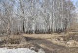 Губернатор Новосибирской области Андрей Травников проголосует за название парка в пойме Каменки