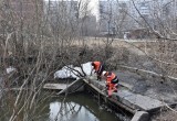 Губернатор Новосибирской области Андрей Травников проголосует за выбор названия парка в пойме Каменки