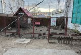 "Зоопарк" в центре Калуги ужаснул! Животных жалко