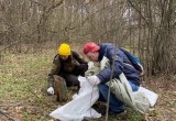 Из Калужского бора вывезли тонну мусора