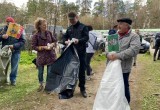 Из Калужского бора вывезли тонну мусора