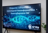 В Новосибирской области цифровые технологии активно используют в животноводстве