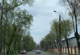 В Калуге закончили санитарную обрезку деревьев на улице Тульской