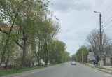 В Калуге закончили санитарную обрезку деревьев на улице Тульской