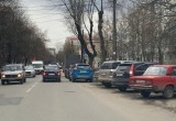 В Калуге закончили санитарную обрезку деревьев на улице Тульской