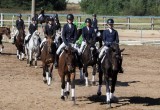 В Калуге прошли соревнования по конному спорту на кубок губернатора