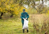 В Калуге волонтеры очистили два памятника природы от мусора