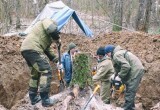 В калужском лесу поисковики нашли массовые захоронения погибших красноармейцев