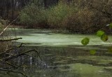 На территории памятника природы в Калужской области появится экотропа в 1,5 км