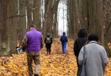 На территории памятника природы в Калужской области появится экотропа в 1,5 км